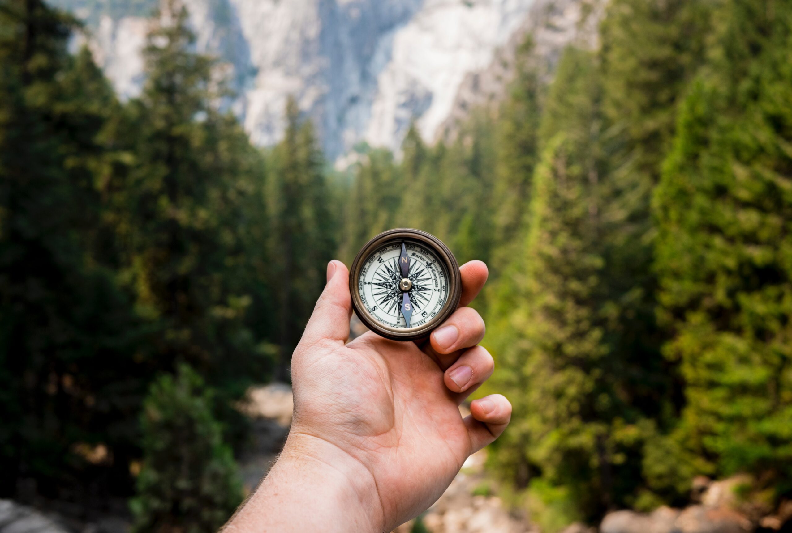 hand holding a compass in a forest